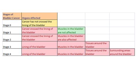 Bladder Cancer / Tumors – Symptoms, Types, Causes and Treatment