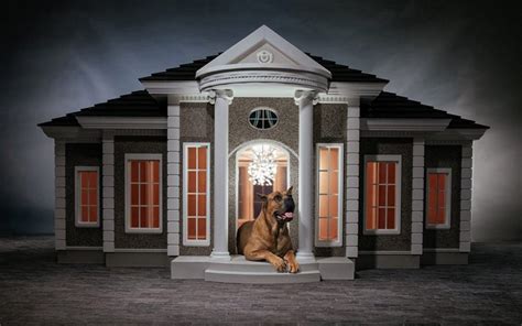 Treat Your Pet with a Luxurious 0,000 Mansion for Dogs