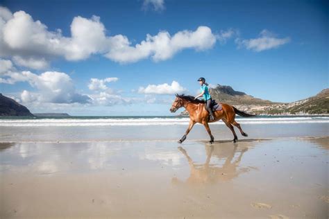 Learn How To Properly Canter On A Horse