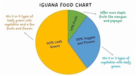 Best Food For Iguanas And What Can They Eat (Food List)