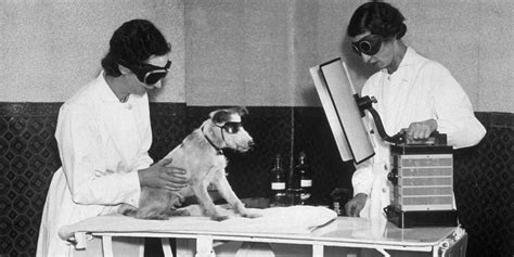 Our Policy On Animal Testing is Distinctly Un-Canadian | Rebecca Aldworth