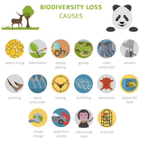 What Is Biodiversity And Why Is It Important? - WorldAtlas