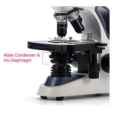 How to Choose the Right Microscope (Compound Microscope vs. Stereo ...