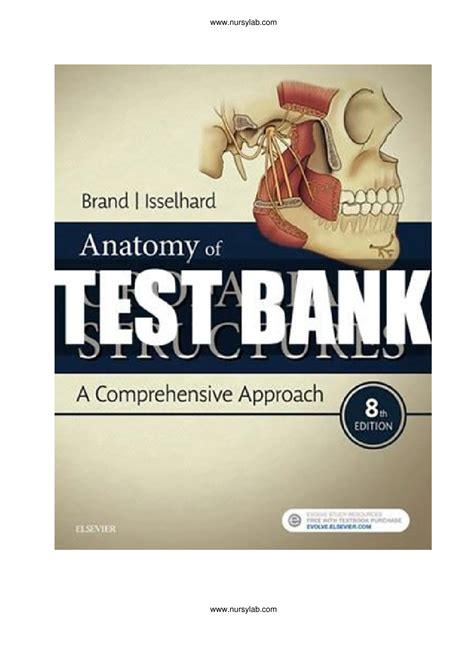 Anatomy of Orofacial Structures 8th Brand Test Bank - Anatomy of ...