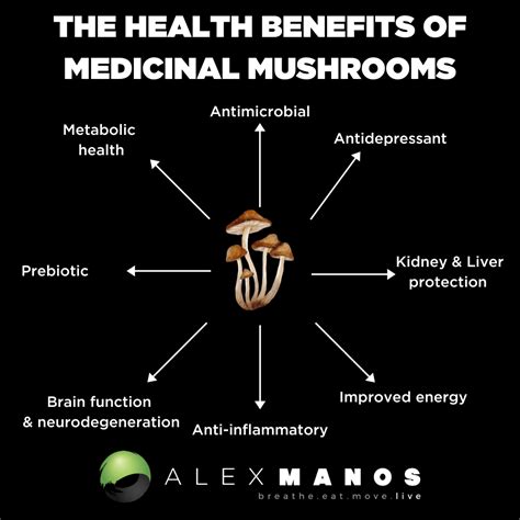 Medicinal Mushrooms And Their Health Benefits