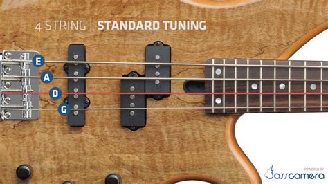 Bass Tuning - 4 Strings Standard (E,A,D,G) [HD] - YouTube