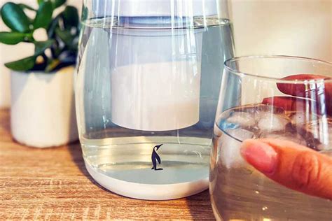 Unveiling the Benefits of the Gentoo Glass Water Filter Jug | Health