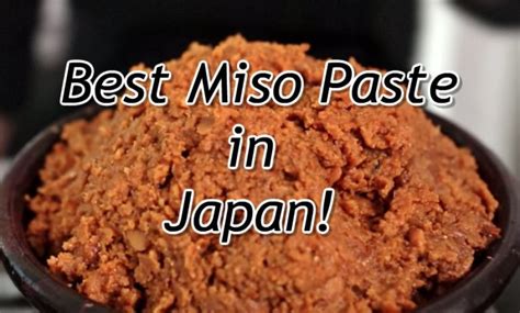 Best Japanese Miso Paste Brands!｜Gyl Magazine