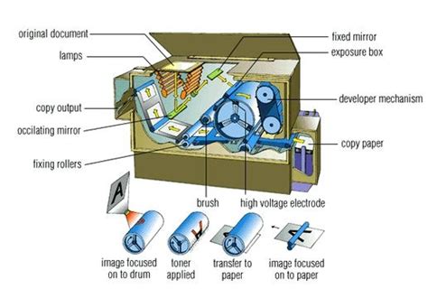 Xerography-process of replicating documents Diagram | Quizlet