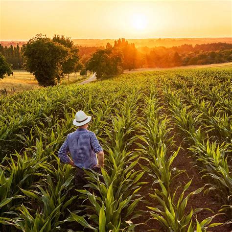 FARMER DAY - June 24, 2023 - National Today