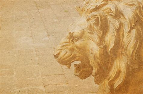 Scary Lion Roar Stock Photos, Pictures & Royalty-Free Images - iStock