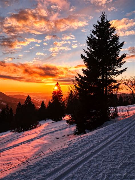 Feldberg Hiking Trail, Black Forest, Germany