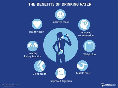 Drinking Water | Benefits for your body | AnatomyStuff