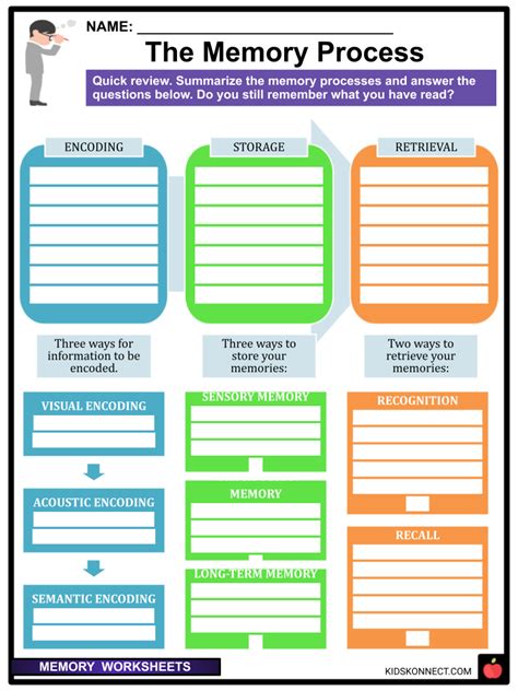 Memory Worksheets | Types of Memory, Why do we Forget?