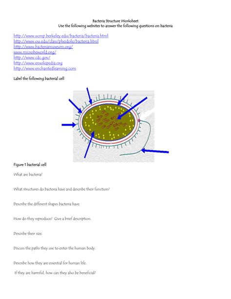 10: Bacteria Structure Worksheet