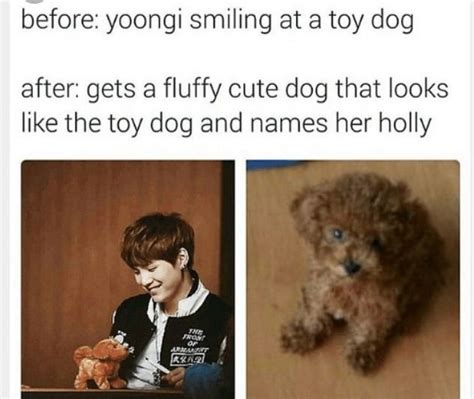 Min Holly (Suga's Dog) | ARMY's Amino