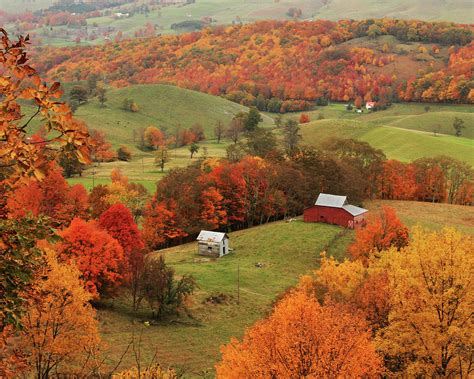 Fall Foliage in Virginia Photograph by Kevin Shank Family - Fine Art ...