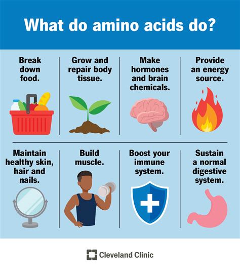 What happens if you only eat amino acids? [2022] | QAQooking.wiki