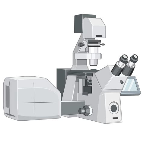 Encyclopedia of Experiments | Microscopy Techniques | JoVE