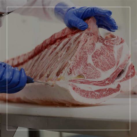 Safety tips for Meat Saw Machine Uses