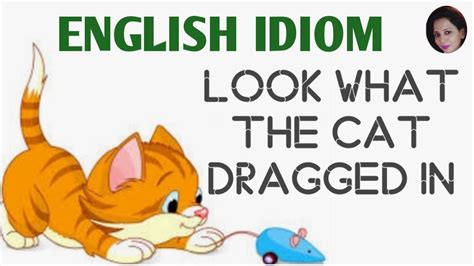 English idiom : Look What the Cat Dragged In - YouTube