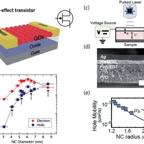 (a) Schematic of a typical field effect transistor (reproduced from ...