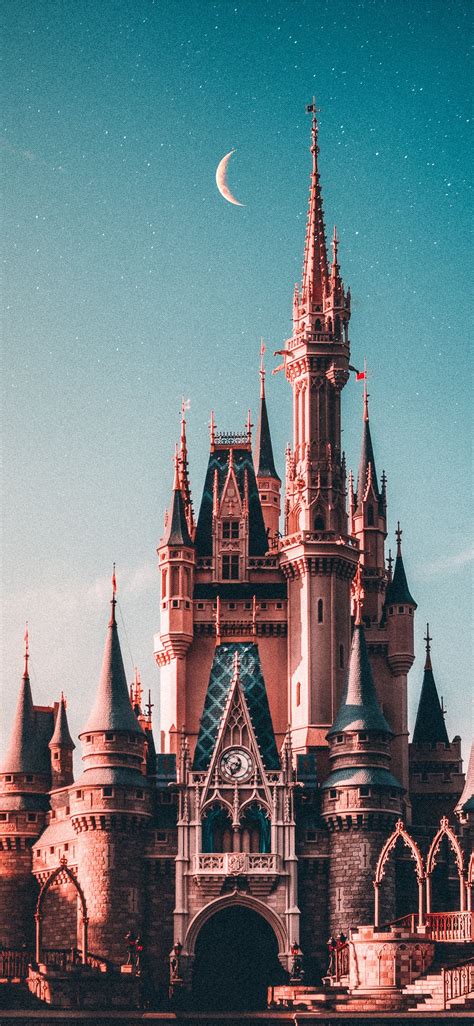 blue and beige Disneyland castle iPhone X Wallpapers Free Download