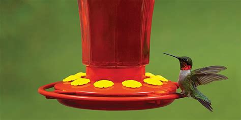 At $6, First Nature's Hummingbird Feeder is a steal (Reg. up to $40)