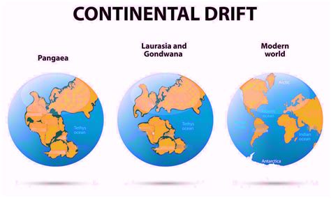 Continental Drift Diagram | Quizlet