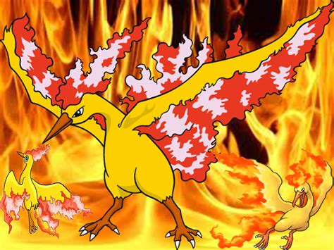 Moltres Wallpaper - Pokémon Wallpaper (32593199) - Fanpop