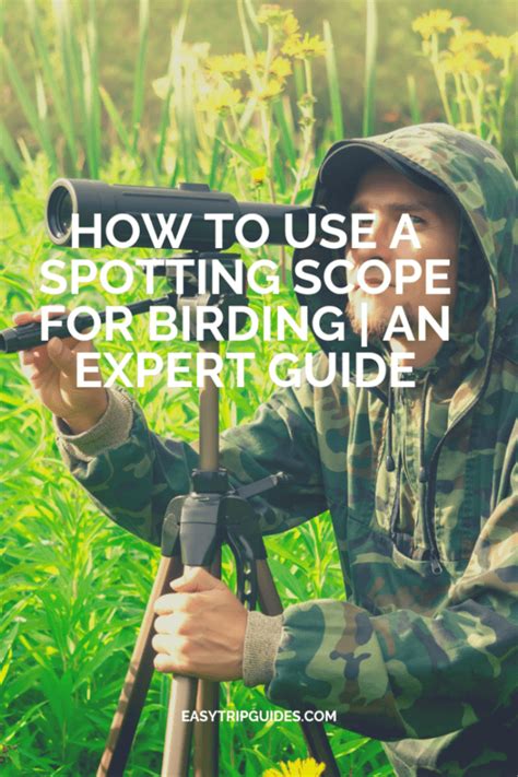 How to Use a Spotting Scope for Birding | An Expert Guide