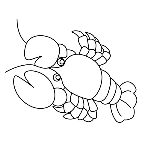 Shrimp outline vector cartoon design on transparent background 9377842 PNG