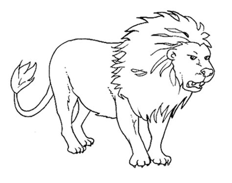 Wild Animals Coloring Pages - Coloring Home