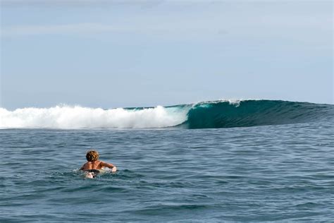 Surfing Samoa / Everything You Need to Know