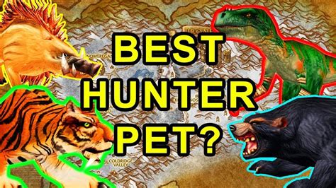 Classic WoW: Best Hunter Pet For Leveling? - Detailed Guide | Pets ...