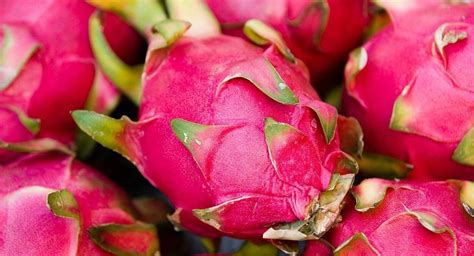 Pitaya fruit .. amazing benefits may not know by many