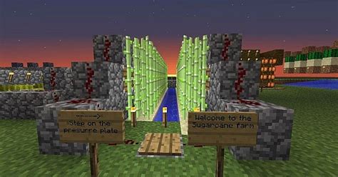 Automated farm Minecraft Map