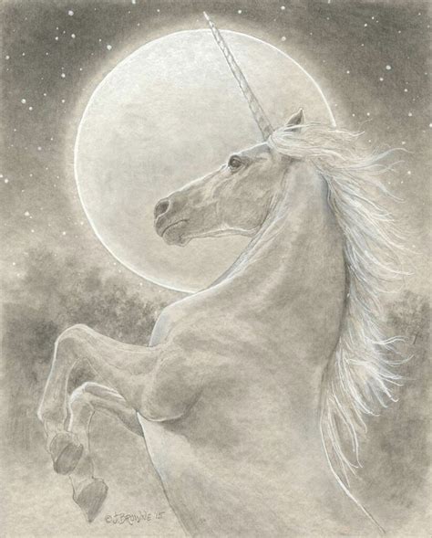 Unicorn: Beautiful Pictures for Sketching. Easy and Complex