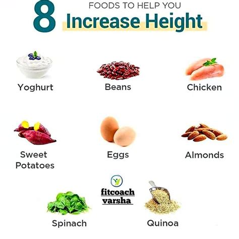 Foods to Help you Increase Height | Food help, Food, Workout food