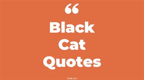 45 Risky Edgar Allan Poe The Black Cat Quotes | the black cat, foreshadowing in the black cat quotes