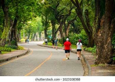 6,439 Lumpini Park Stock Photos, Images & Photography | Shutterstock