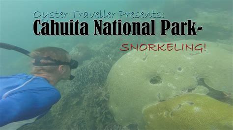 Snorkeling in Cahuita National Park! Costa Rica!! 🐠🐡 - YouTube