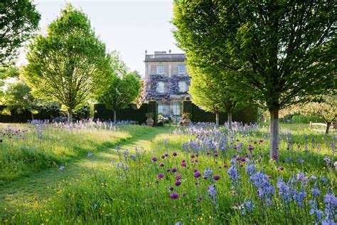 Highgrove garden festival - The Chatty Gardener