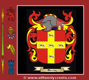 Martinez family crest and meaning of the coat of arms for the surname martinez