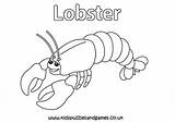 Realistic Lobster Coloring Page sketch template