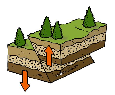 the layers of soil with arrows pointing to each other and trees in the ...