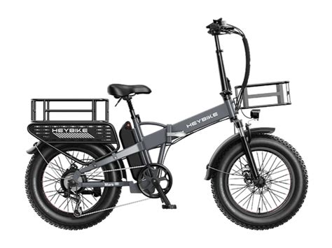 All Terrain E-Bikes – Electric Bikes of America