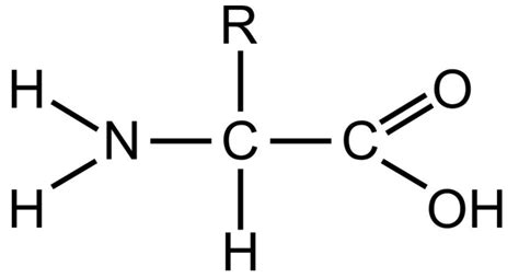 Amino Acids | SIELC