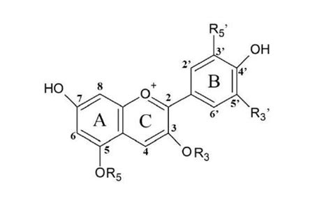 Figure1. Structural representation of anthocyanidin. | Download Scientific Diagram