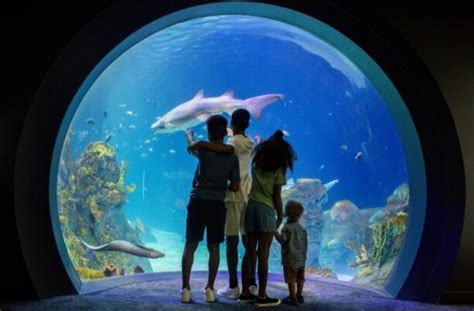 Kansas City Zoo's new aquarium celebrates LEED Certification - Greenability